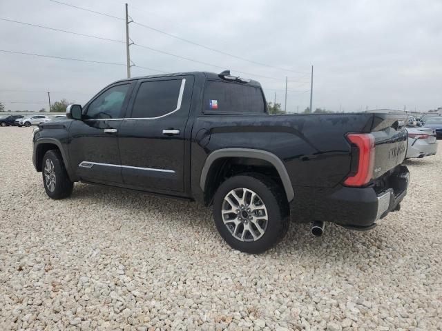 Изображение 2 2023 TOYOTA TUNDRA CREWMAX PLATINUM 2023 с VIN 5TFMA5DB0PX105064