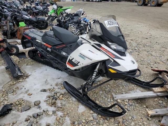 Obraz 2019 SKI DOO RENEGADE 2019