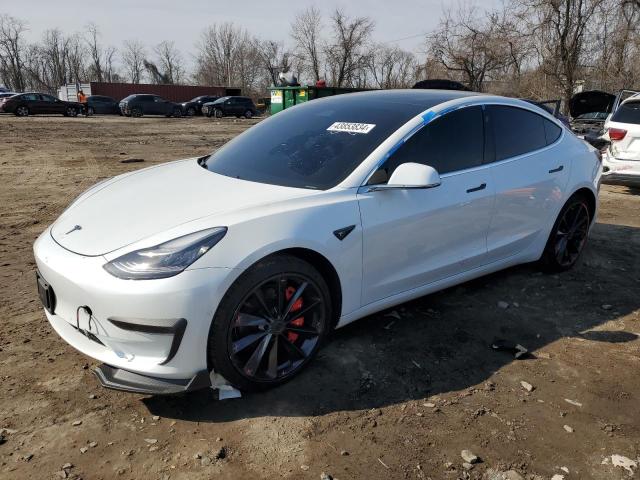 2019 TESLA MODEL 3  2019 image