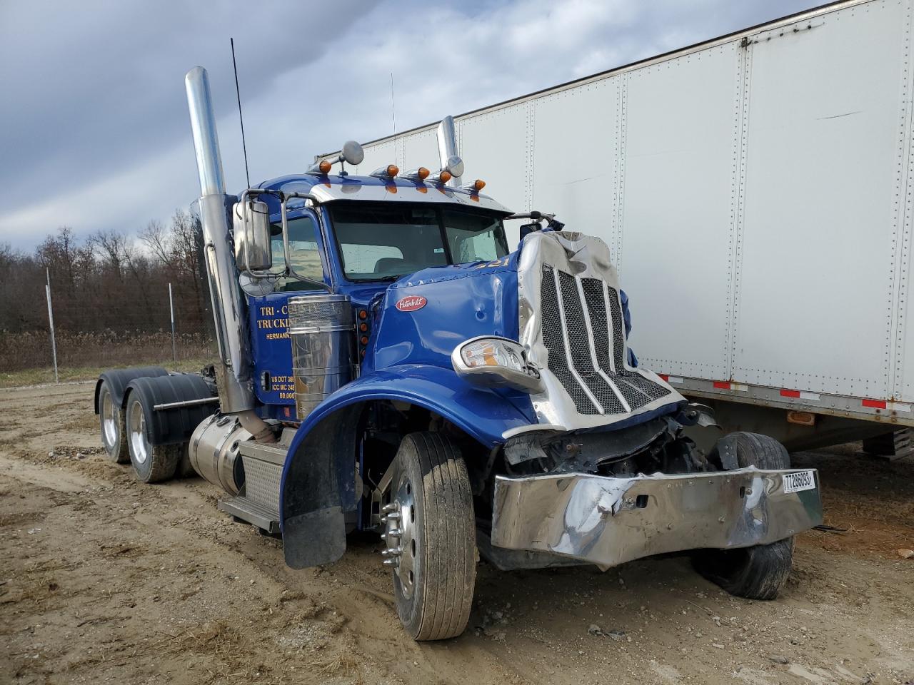 Obraz 2019 PETERBILT 389  2019
