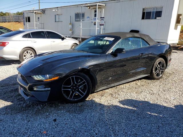 2023 FORD MUSTANG  2023 image