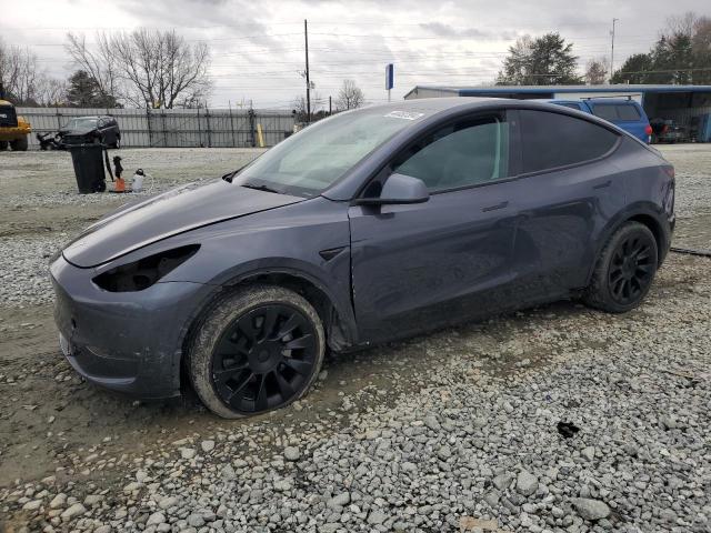 2021 TESLA MODEL Y  2021 image