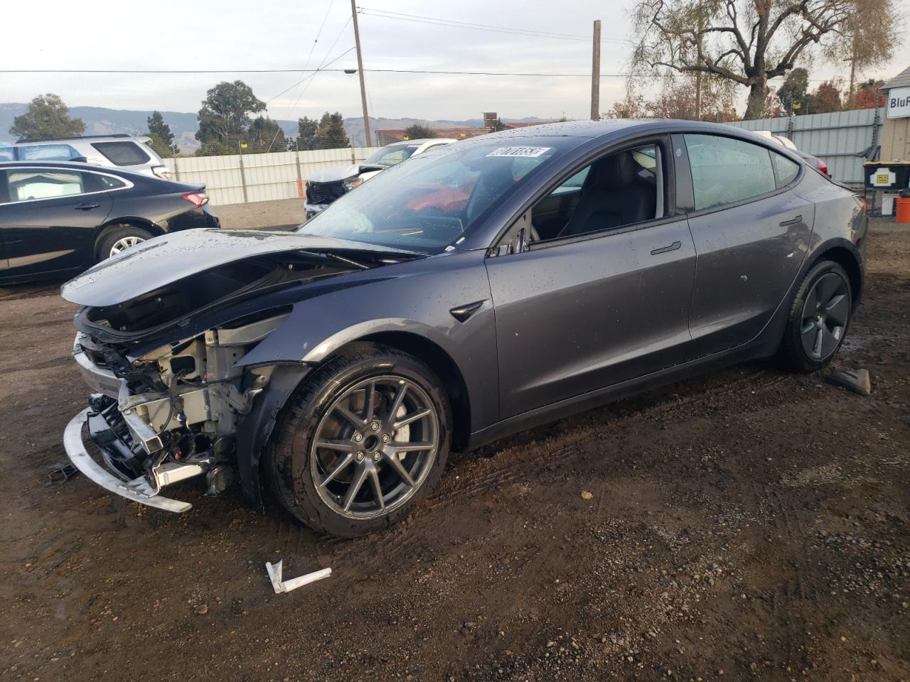 2022 TESLA MODEL 3  2022 image