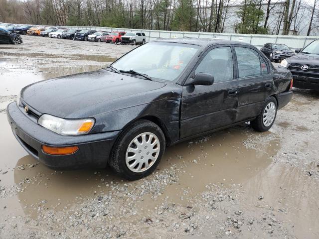 Obraz 1995 TOYOTA COROLLA LE 1995
