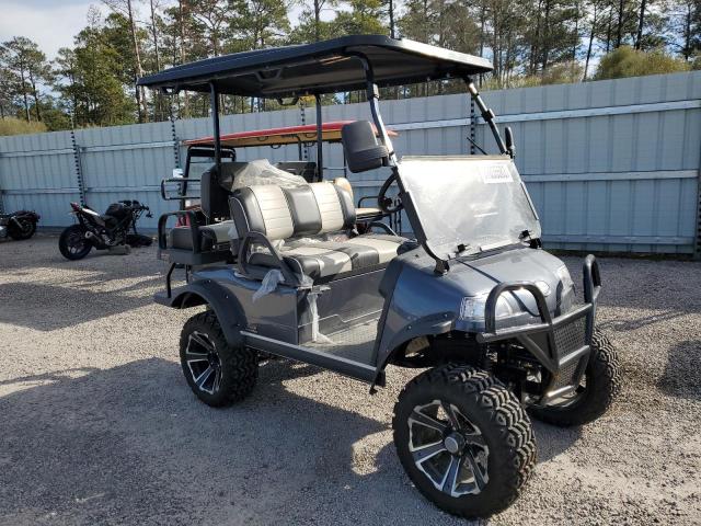2024 EVOL GOLF CART 2024 image