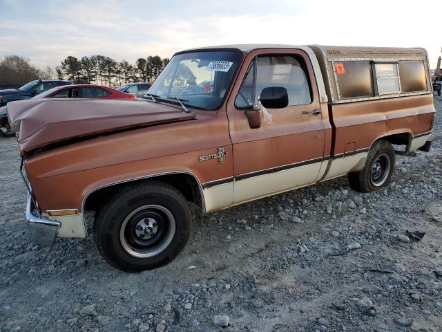 1981 CHEVROLET C10  1981 image