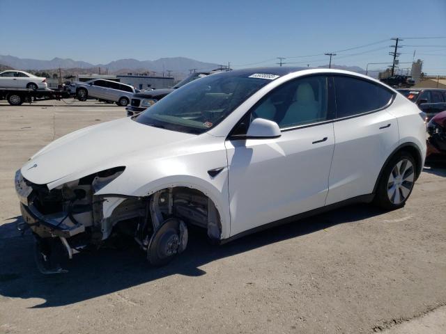 2023 TESLA MODEL Y  2023 image