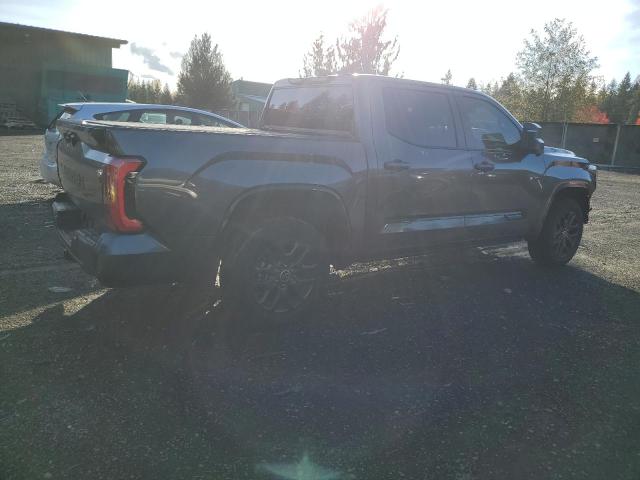 Изображение 3 2022 TOYOTA TUNDRA CREWMAX PLATINUM 2022 с VIN 5TFNA5DBXNX052021