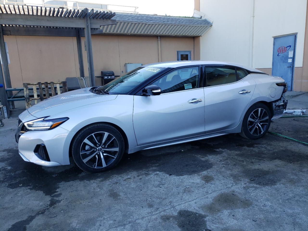 Image 1 of 2023 NISSAN MAXIMA SV 2023 with VIN 1N4AA6CV3PC508411