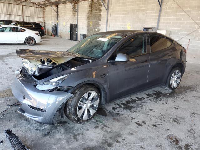 2023 TESLA MODEL Y  2023 image