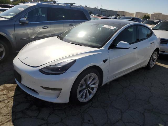 2023 TESLA MODEL 3  2023 image