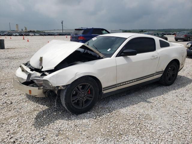 2011 FORD MUSTANG  2011 image