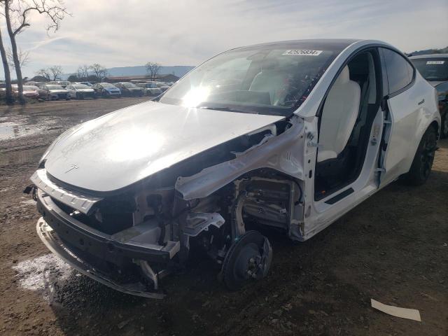 2023 TESLA MODEL Y  2023 image
