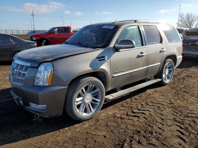 Obraz 2012 CADILLAC ESCALADE PLATINUM 2012