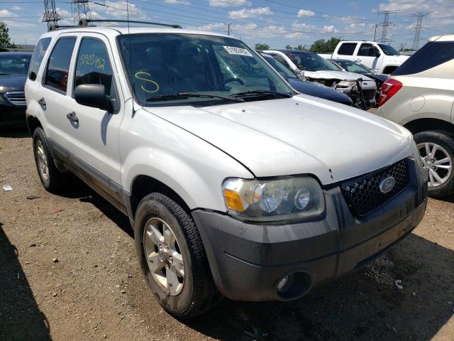 2006 FORD ESCAPE XLT 2006 image