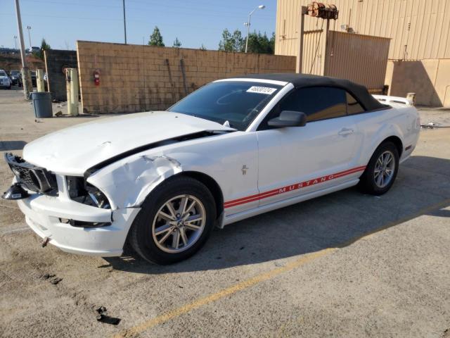 Obraz 1 z 2005 FORD MUSTANG  2005 z VIN 1ZVFT84N855253936
