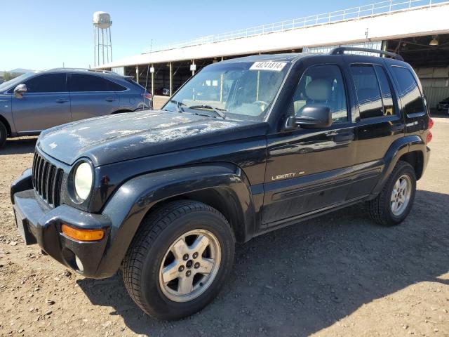Изображение 1 2003 JEEP LIBERTY LIMITED 2003 с VIN 1J8GL58K73W503656