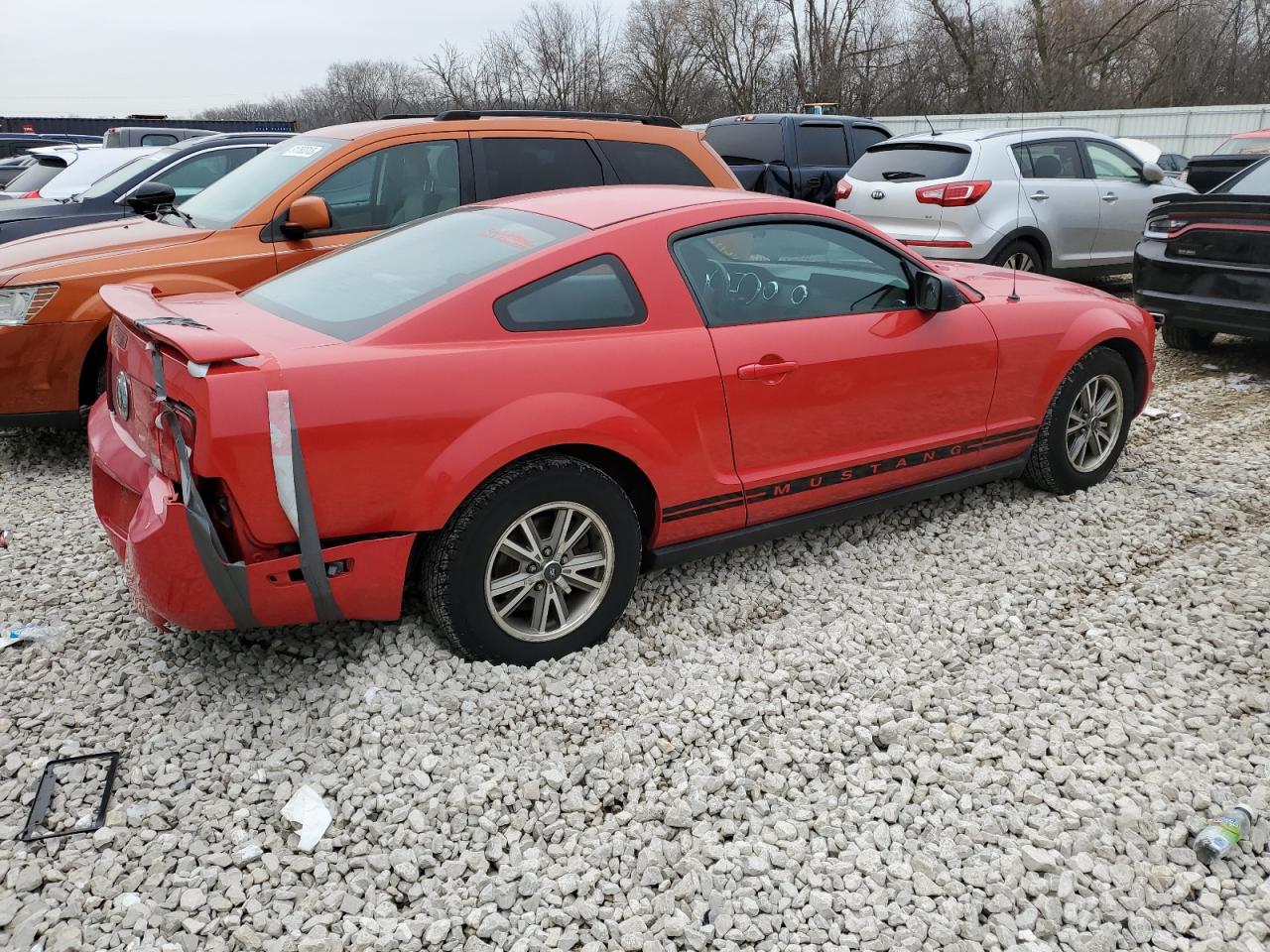 Изображение 3 2005 FORD MUSTANG  2005 с VIN 1ZVFT80N555110397