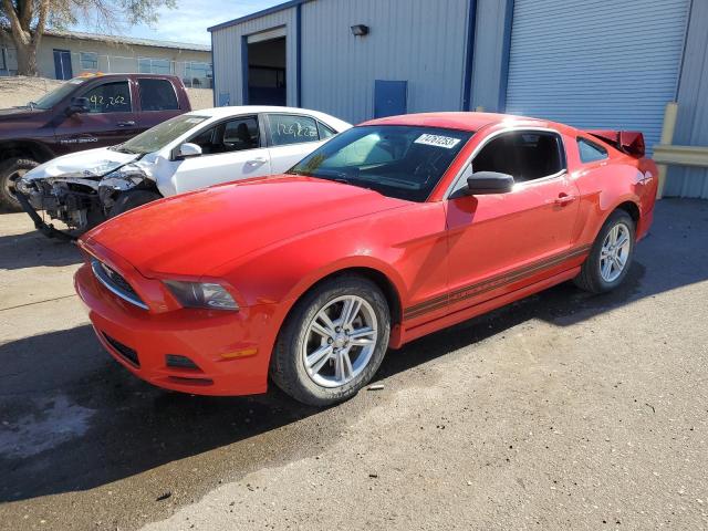 2014 FORD MUSTANG  2014 image