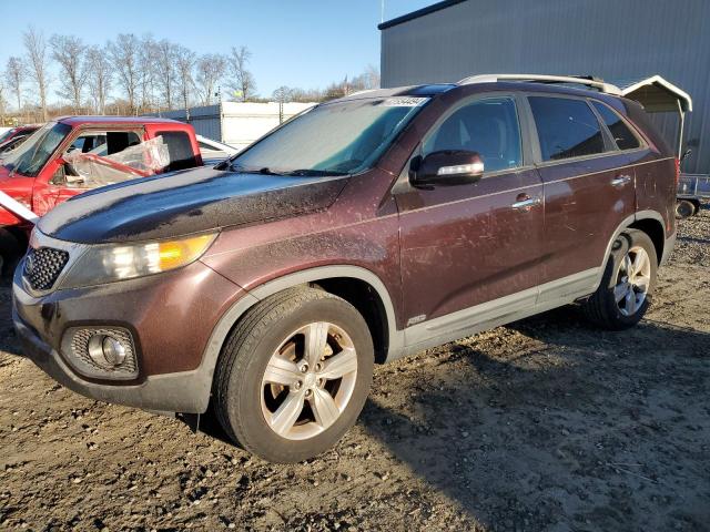 Obraz 2012 KIA SORENTO EX 2012