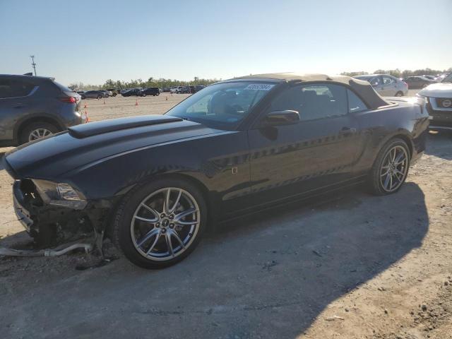 2014 FORD MUSTANG  2014 image