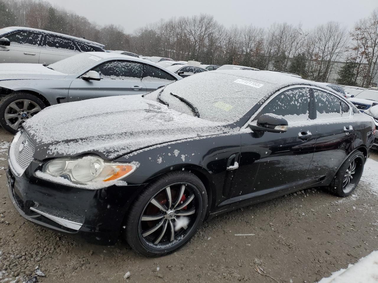 2009 JAGUAR XF PREMIUM LUXURY 2009 image