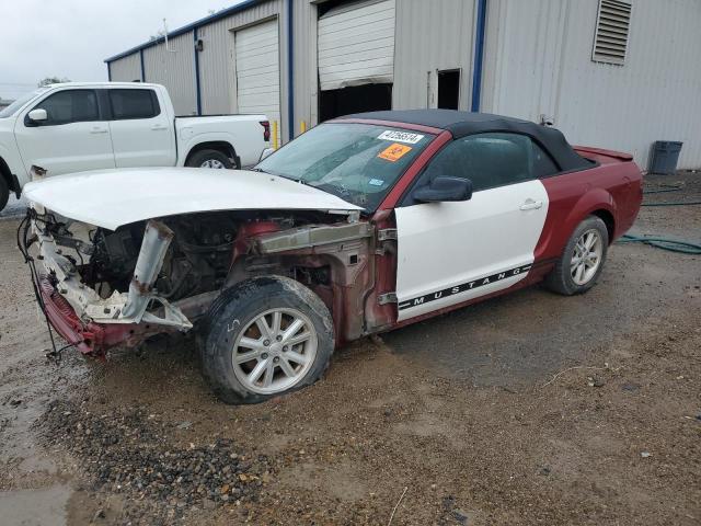 Obraz 2008 FORD MUSTANG  2008