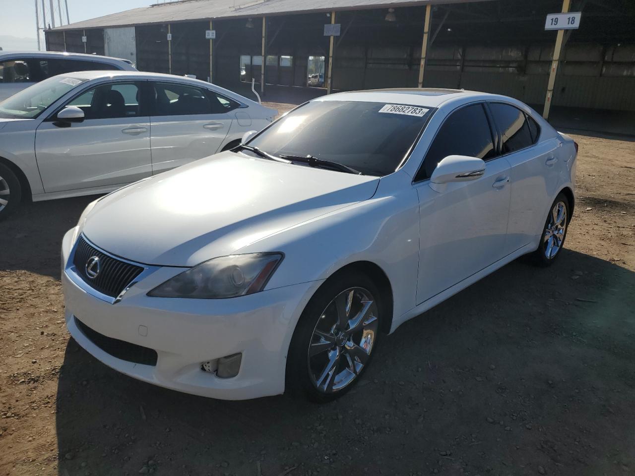 2010 LEXUS IS 250 2010 image