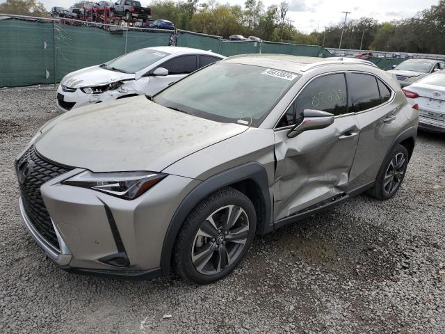 2019 LEXUS UX 200 2019 image