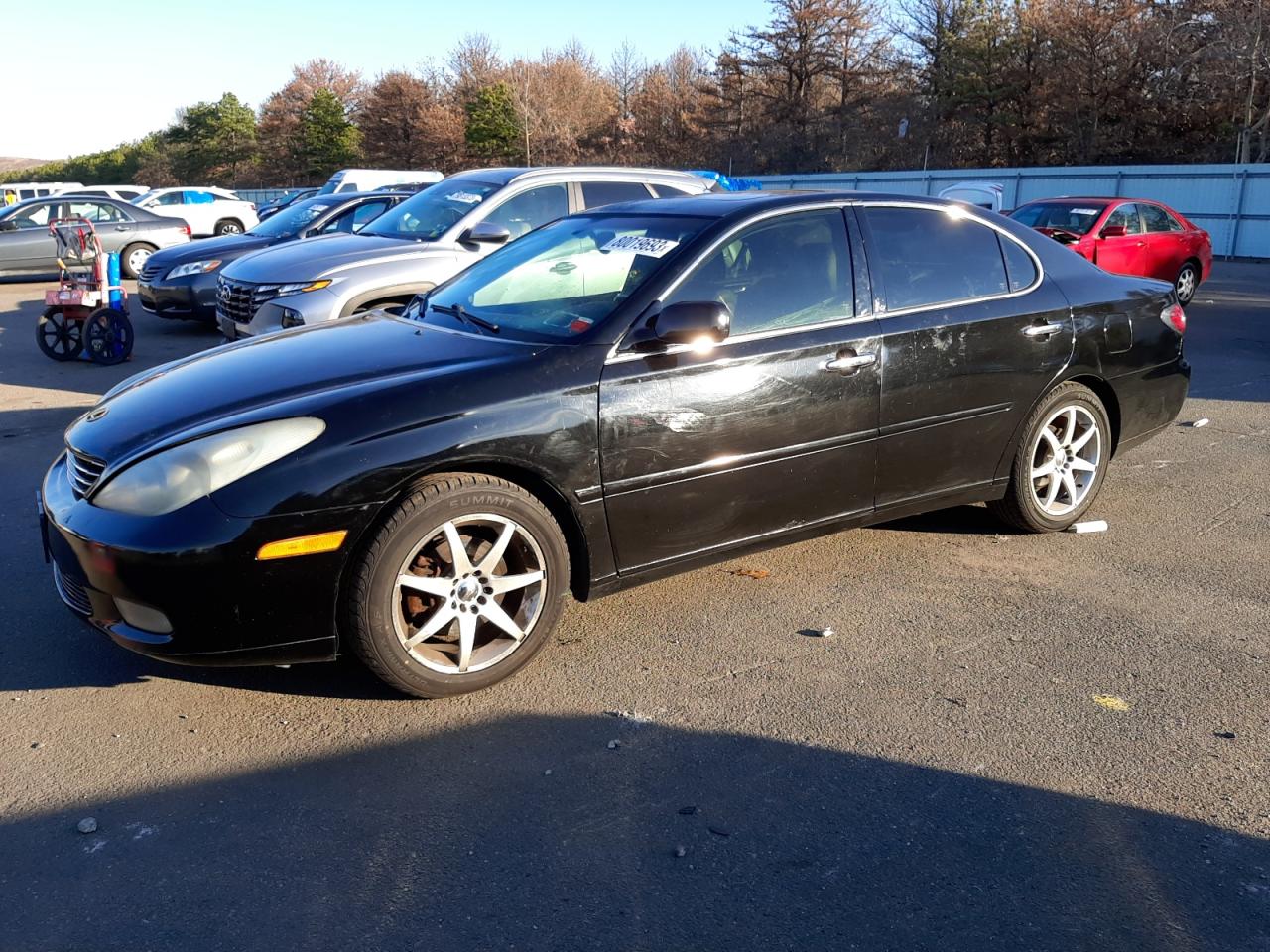 2004 LEXUS ES 330 2004 image