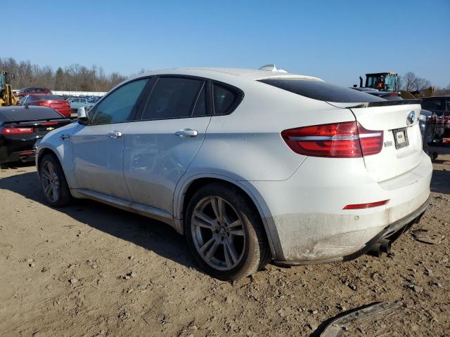 Image 2 of 2013 BMW X6 M 2013 with VIN 5YMGZ0C55DLL29980