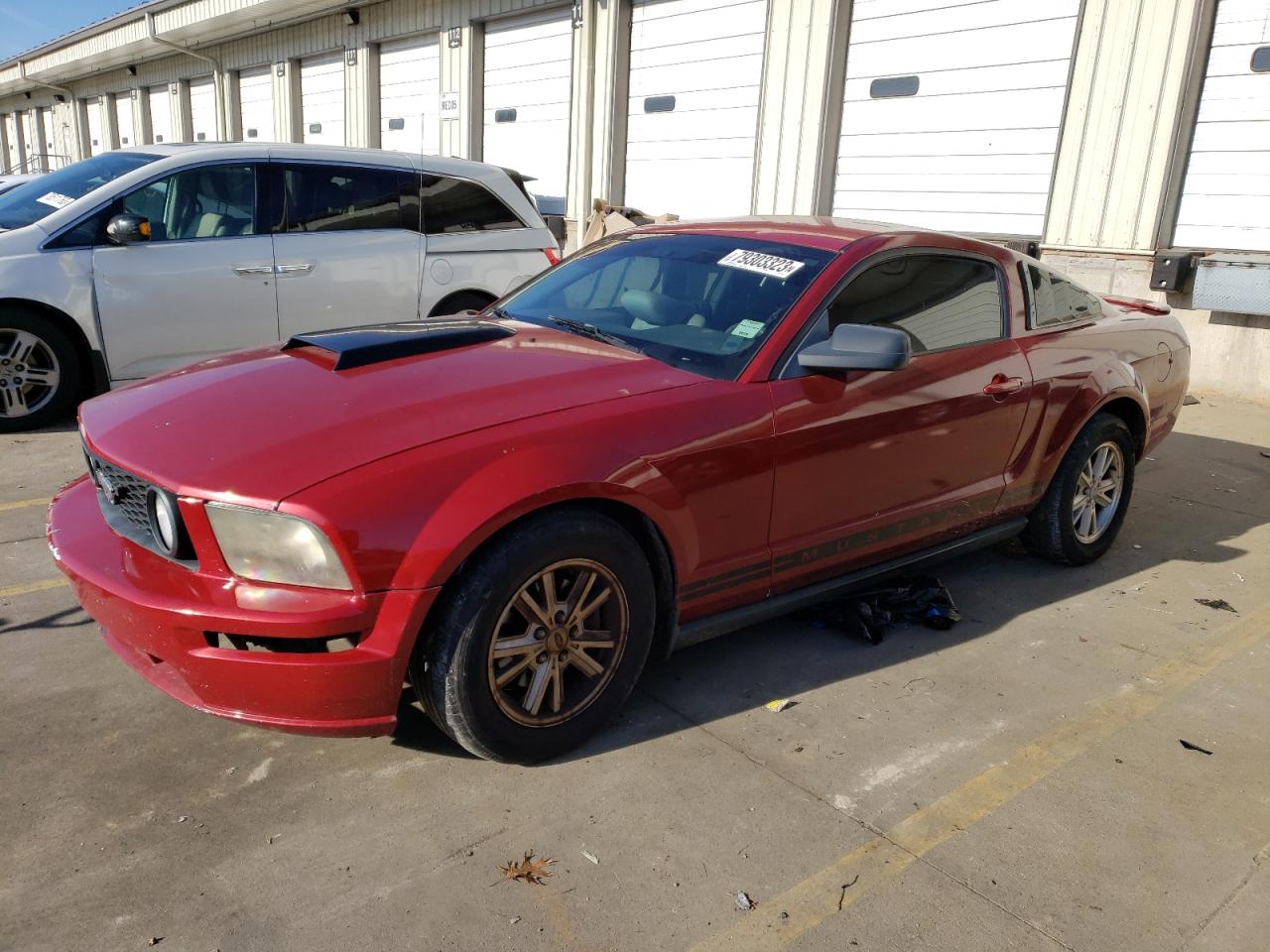 Obraz 2009 FORD MUSTANG  2009