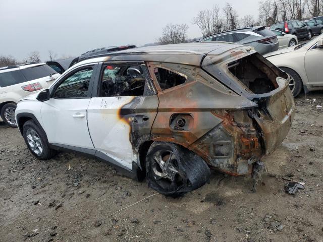 Image 2 of 2024 HYUNDAI TUCSON SEL 2024 with VIN 5NMJBCDE4RH300854