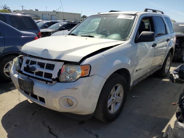 2009 FORD ESCAPE HYBRID 2009 image