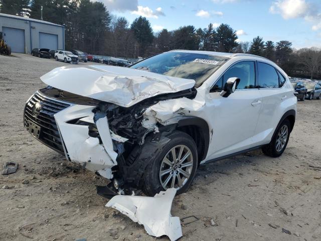 2020 LEXUS NX 300 2020 image