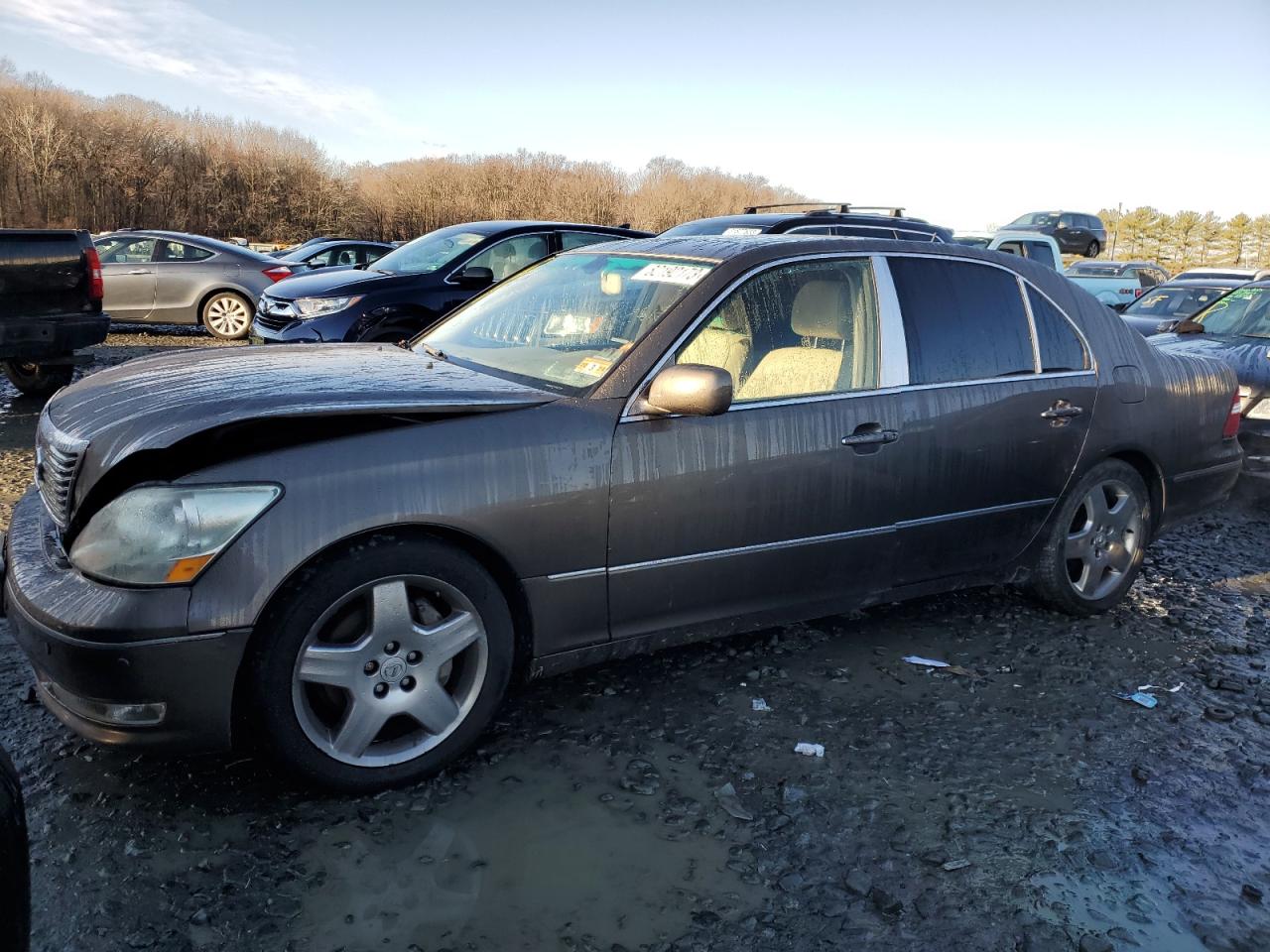 Изображение 2006 LEXUS LS 430 2006