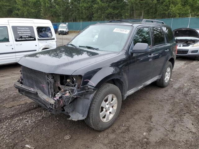 2009 FORD ESCAPE XLT 2009 image