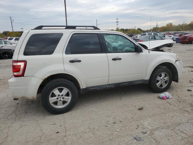 Image 3 of 2010 FORD ESCAPE XLT 2010 with VIN 1FMCU0D74AKC68401