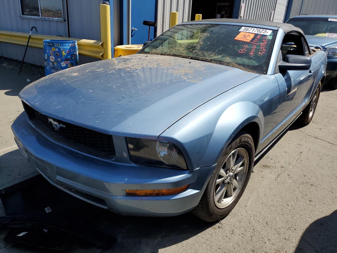 2006 FORD MUSTANG  2006 image