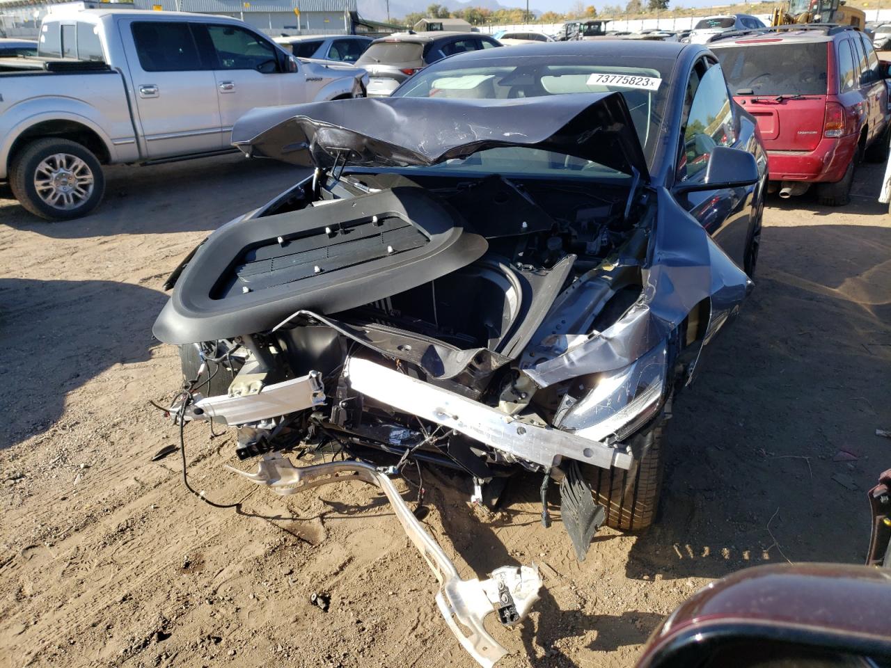 2023 TESLA MODEL Y  2023 image