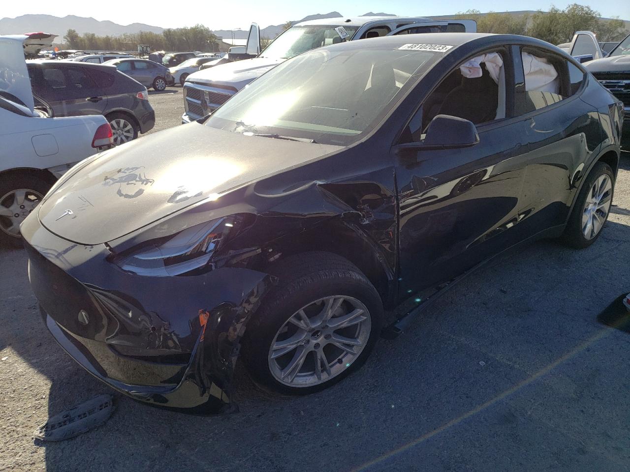 2021 TESLA MODEL Y  2021 image