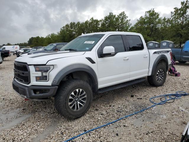 2019 FORD F150 RAPTOR 2019 image
