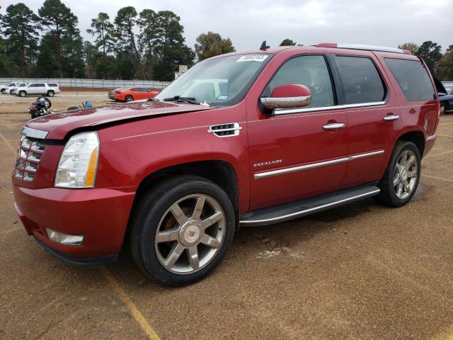 2014 CADILLAC ESCALADE LUXURY 2014 image