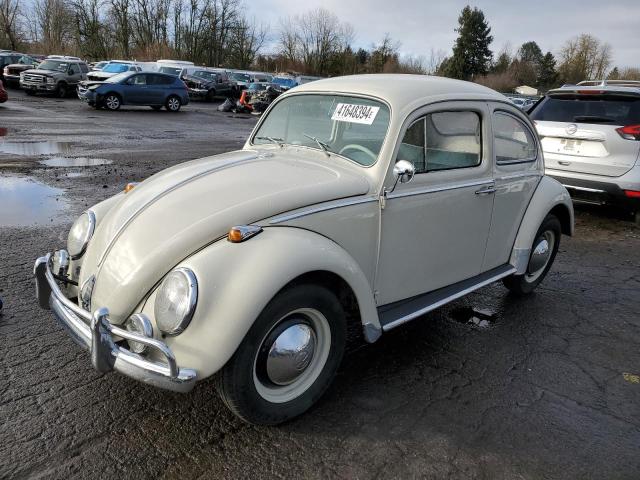 1964 VW BEETLE 1964 image
