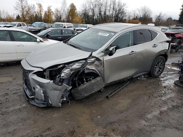 2024 LEXUS NX 350 PREMIUM 2024 image