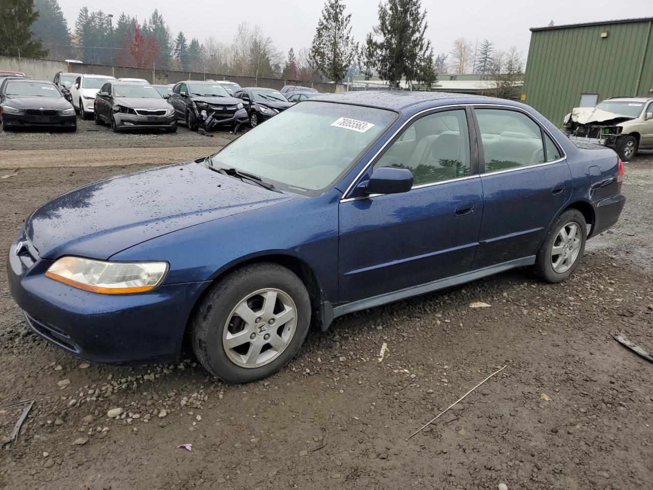 2001 HONDA ACCORD LX 2001 image