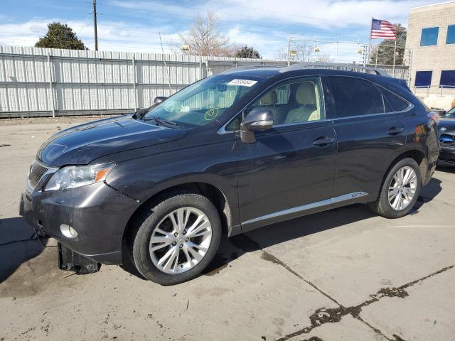 Изображение 2010 LEXUS RX 450 2010
