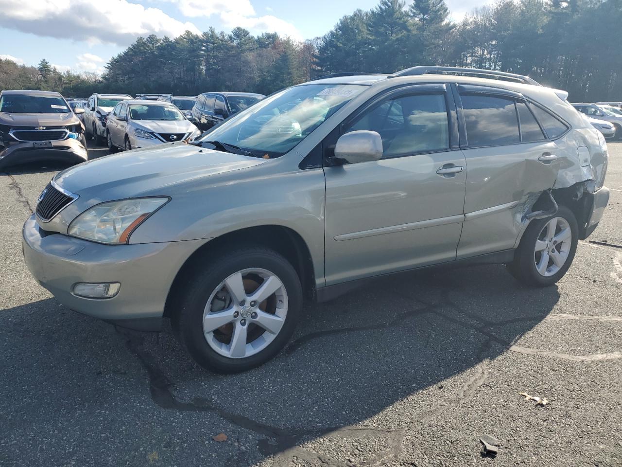 Obraz 2007 LEXUS RX 350 2007