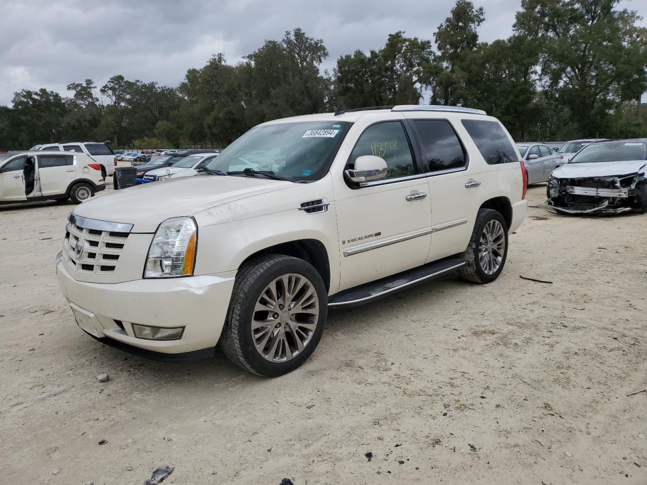 2009 CADILLAC ESCALADE SPORT 2009 image