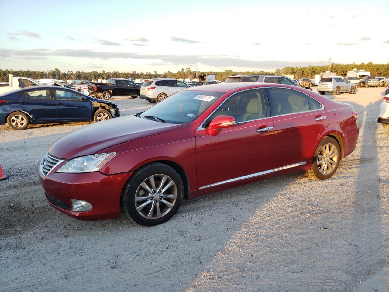 Obraz 2010 LEXUS ES 350 2010